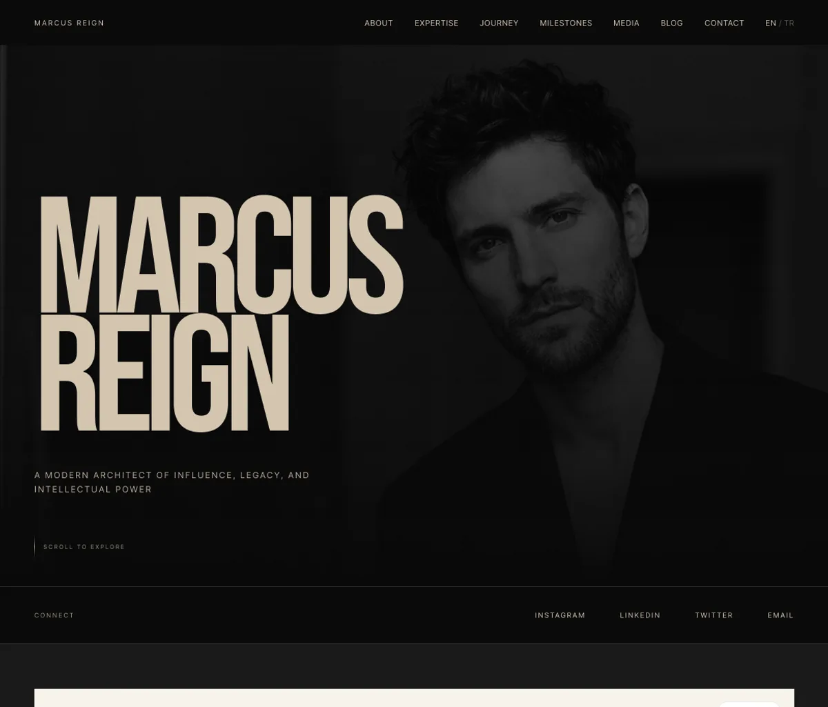 Consultant-4 design preview